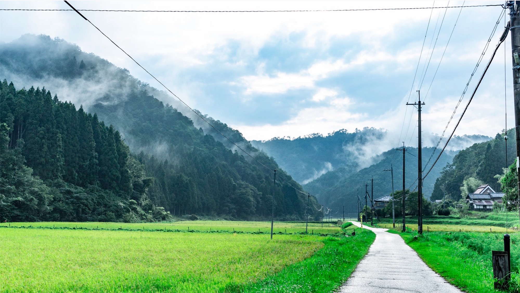 集落へ続く一本道と、日本の原風景