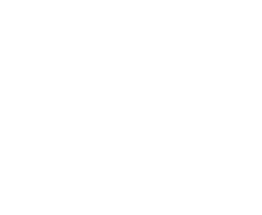NIPPONIA operations — authentic localism